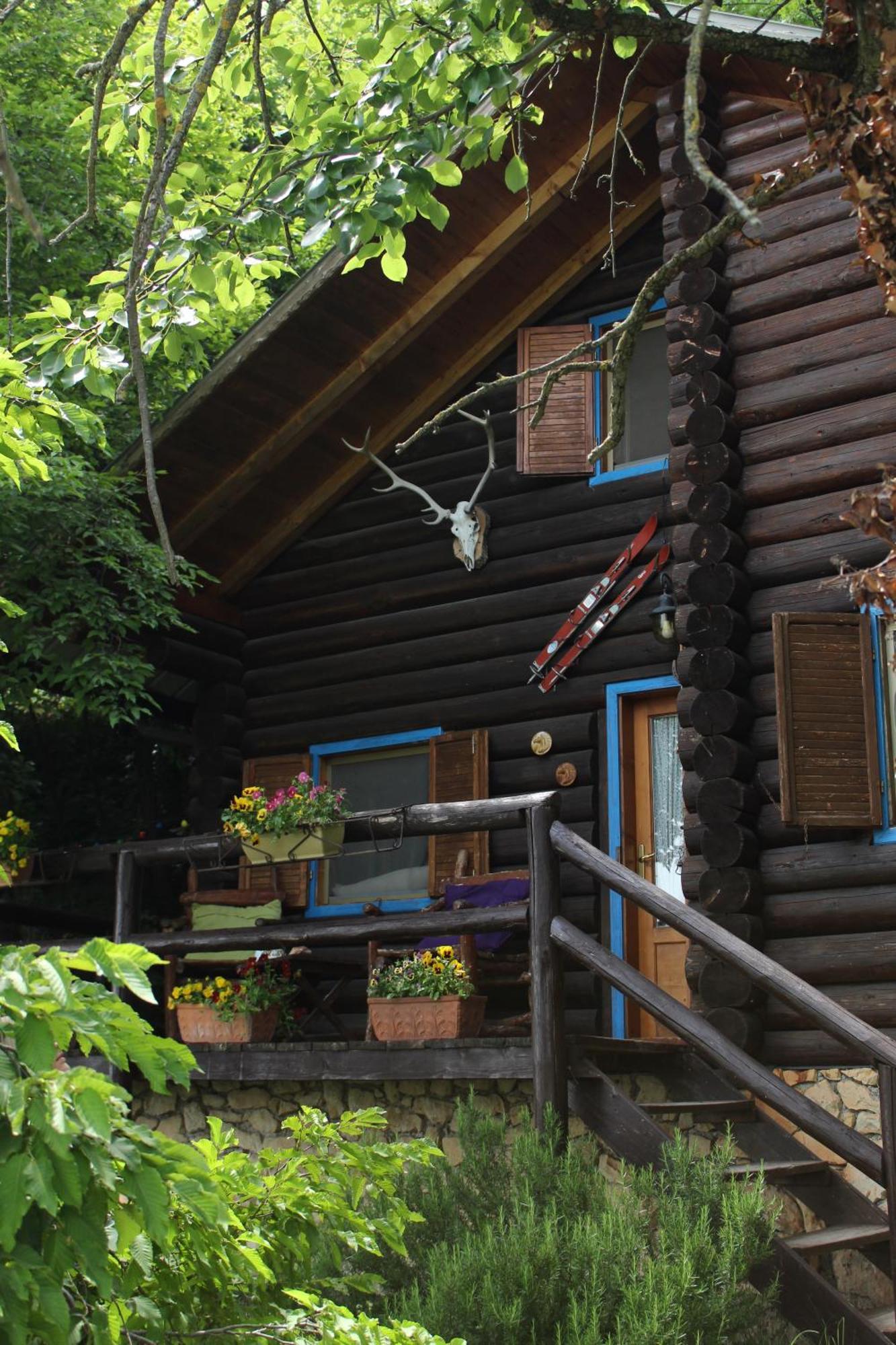 B&B Le Corone - Chalet Nel Bosco Cavalo Exterior photo